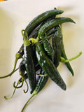 Pasilla Bajo Pepper Seed