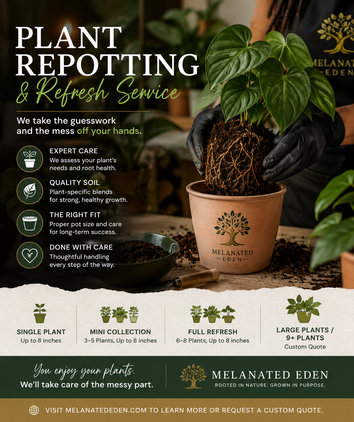 Plant Repotting & Refresh Service