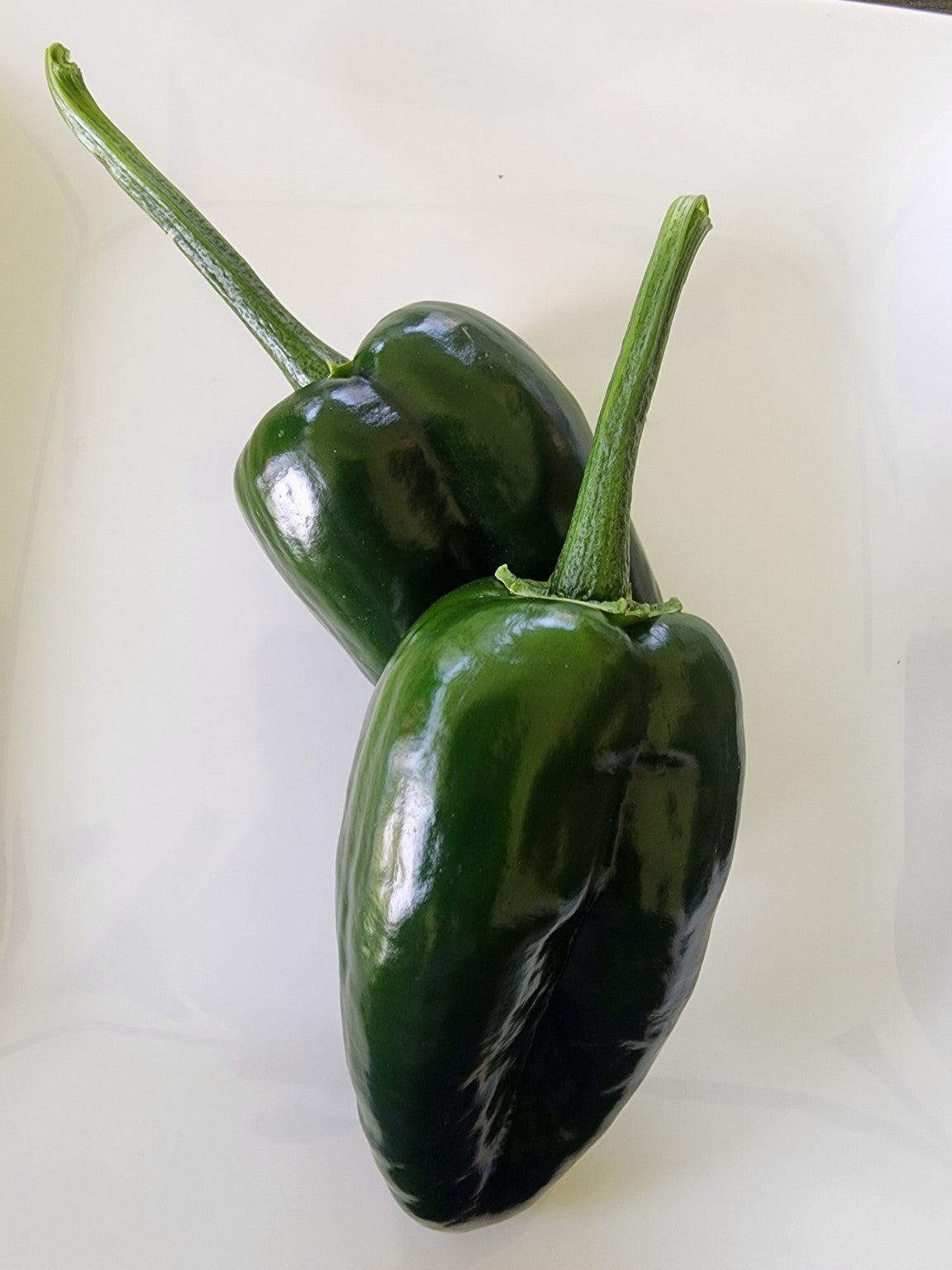 Poblano Pepper Seed